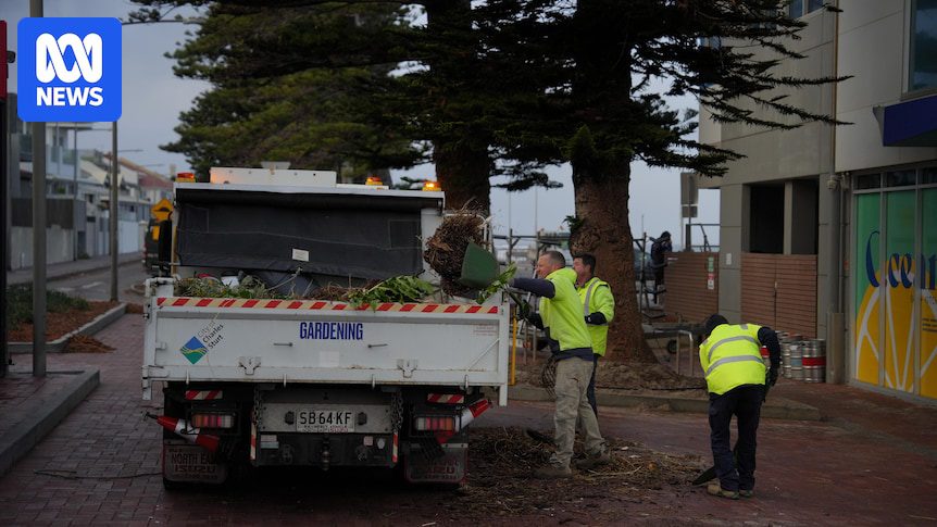 Thousands lose power after SA hit by wind gusts, heavy rainfall and high tides