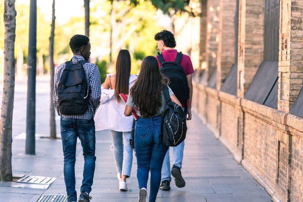 Australian Council Urge Review Of Student Visa Fees 1 australia visa fees