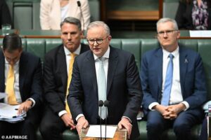 Home 36 New report exposes lower migrant skills in Australia than government says.