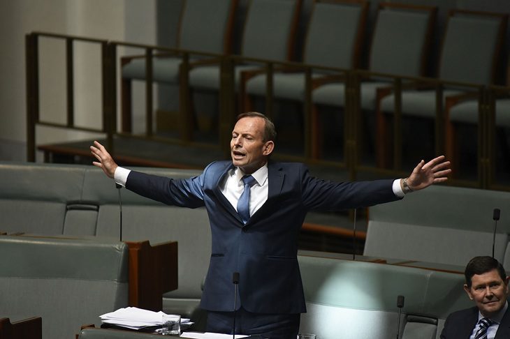 Tony Abbott slams Australia's mass migration policy