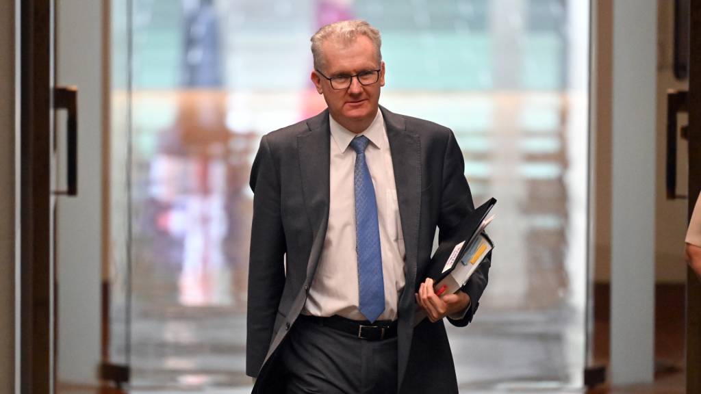 Immigration Dept. faces tough choices on visa backlogs, migration