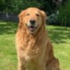 Profile photo of Harrison